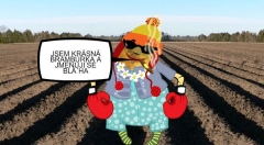 zvětšit