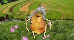 zvětšit