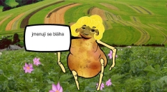 zvětšit