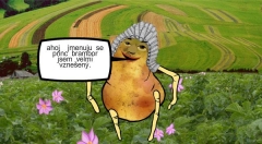 zvětšit