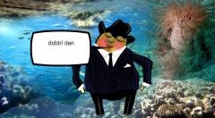 zvětšit