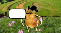 zvětšit