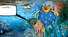 zvětšit