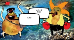 zvětšit