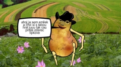 zvětšit