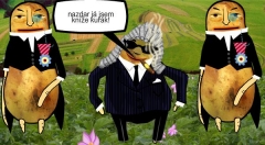 zvětšit