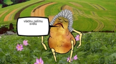 zvětšit